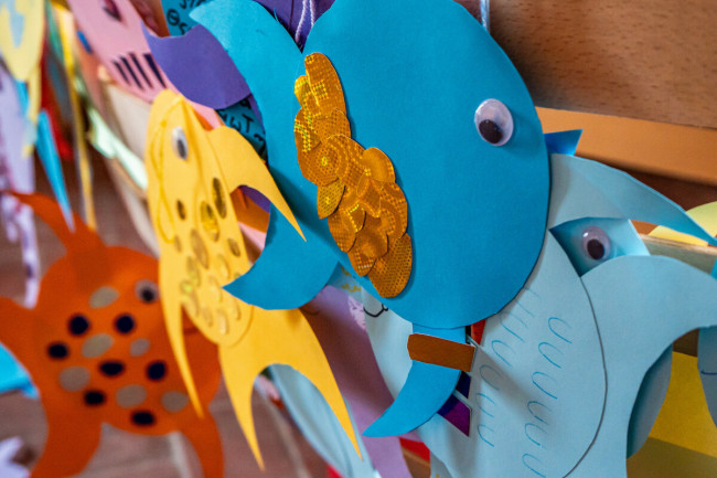 Fisch im Netz